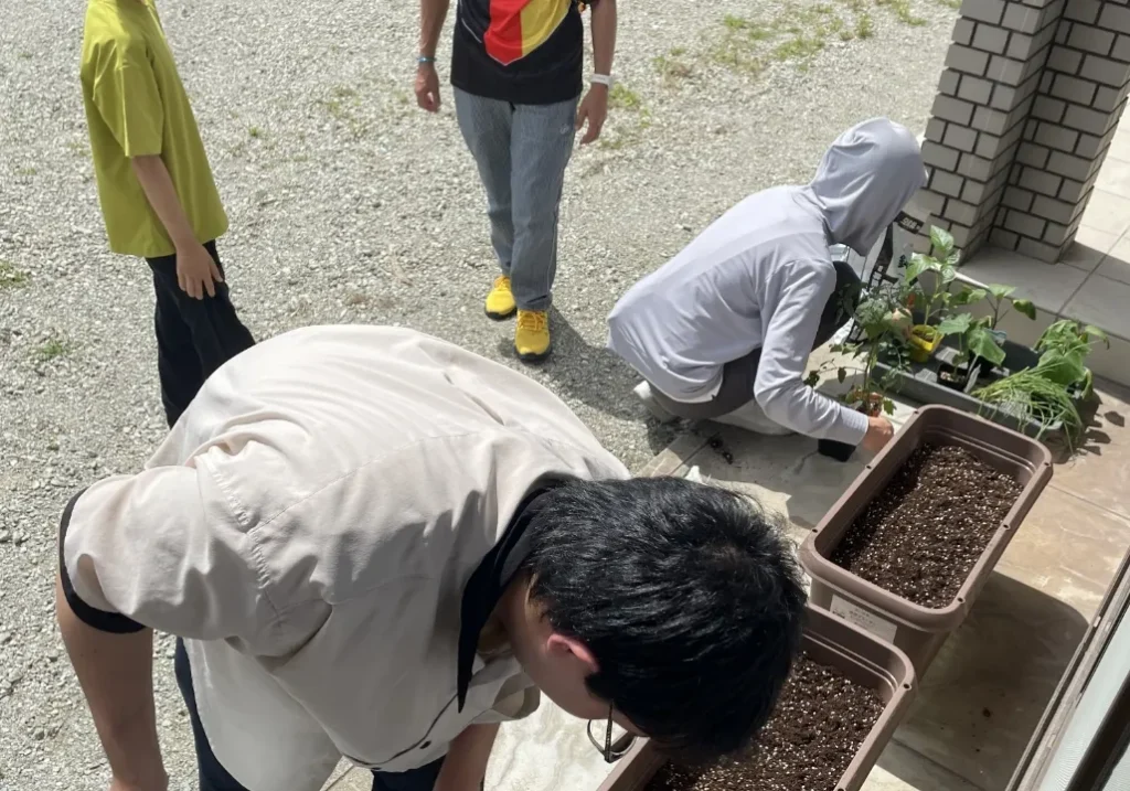 プランターに植物を植えている